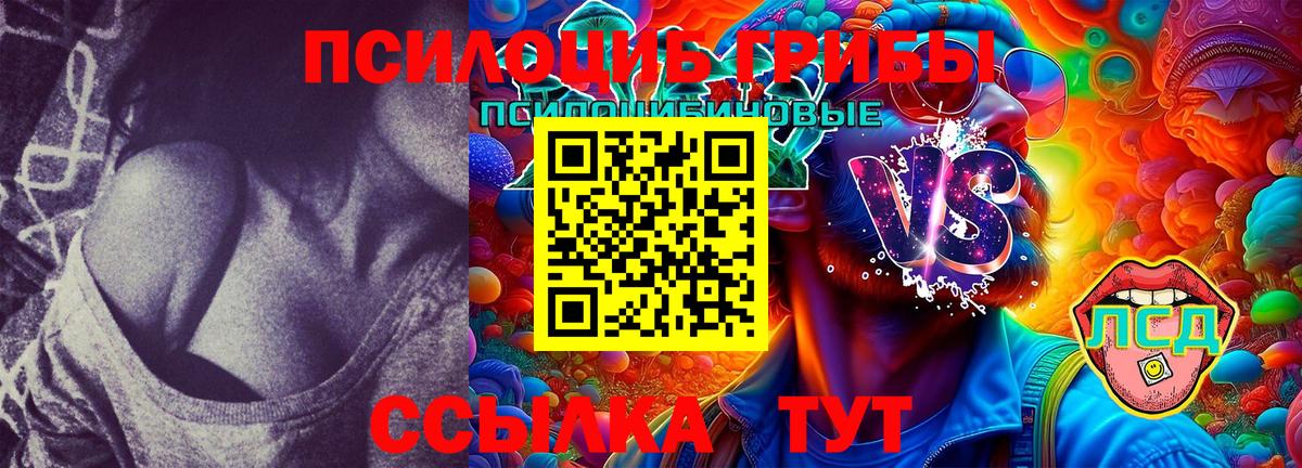 Псилоцибиновые грибы Cubensis Саранск